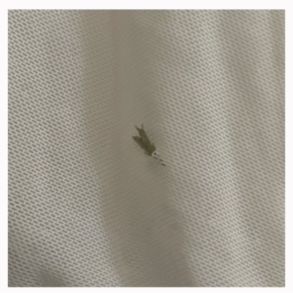 BHLDN | Wtoo by Watters | Miles | Wedding Gown | Size 4 - Picture 5 of 6